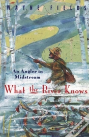 Capa do artigo What The River Knows