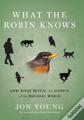 Capa do artigo What The Robin Knows