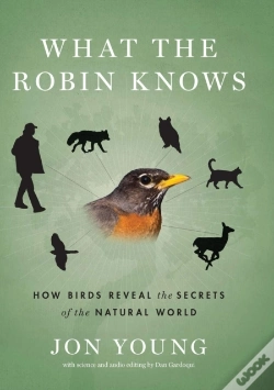 Capa do artigo What The Robin Knows