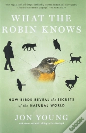 Capa do artigo What The Robin Knows