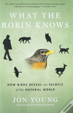Capa do artigo What The Robin Knows