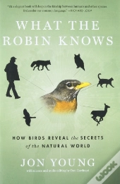 What The Robin Knows