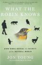 What The Robin Knows - Preview