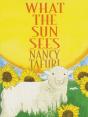 What The Sun Sees - Preview