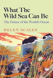 Capa do artigo What The Wild Sea Can Be