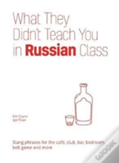 What They Didn'T Teach You In Russian Class