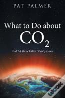What To Do About Co2