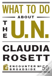 Capa do artigo What To Do About The U.N.
