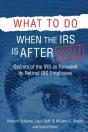 What To Do When The Irs Is After You - Preview