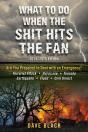 What To Do When The Shit Hits The Fan - Preview