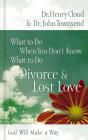 What To Do When You Don'T Know What To Do, Divorce And Lost Love - Preview