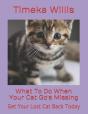 What To Do When Your Cat Go'S Missing - Preview