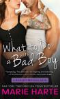 What To Do With A Bad Boy - Preview