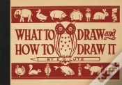 Capa do artigo What To Draw And How To Draw It