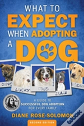 What To Expect When Adopting A Dog