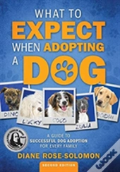 What To Expect When Adopting A Dog