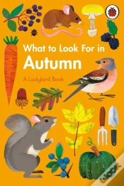 Capa do artigo What To Look For In Autumn