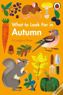 Capa do artigo What To Look For In Autumn