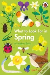 Capa do artigo What To Look For In Spring