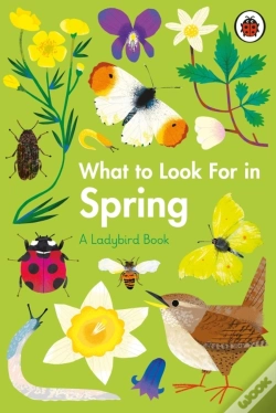 Capa do artigo What To Look For In Spring