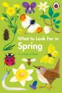 What To Look For In Spring - Preview