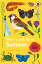 What To Look For In Summer - Preview