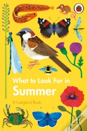 Capa do artigo What To Look For In Summer