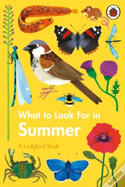 Capa do artigo What To Look For In Summer