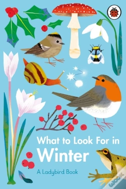Capa do artigo What To Look For In Winter