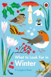 What To Look For In Winter