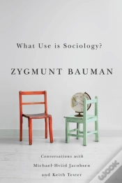 Capa do artigo What Use Is Sociology?