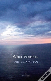 Capa do artigo What Vanishes