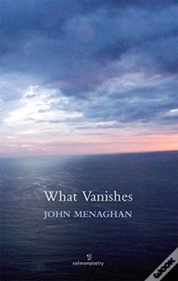 Capa do artigo What Vanishes