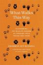 What Walks This Way - Preview