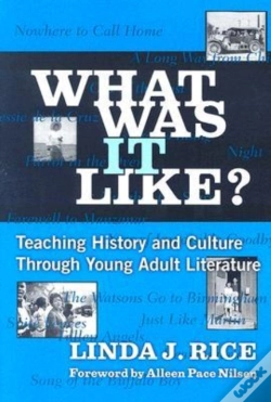Capa do artigo What Was It Like?