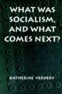 What Was Socialism, And What Comes Next? - Preview