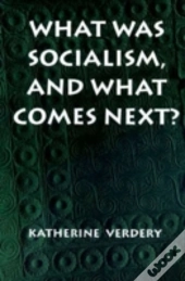 What Was Socialism, And What Comes Next?