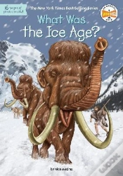 Capa do artigo What Was The Ice Age?