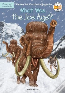 Capa do artigo What Was The Ice Age?