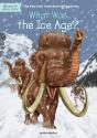 What Was The Ice Age? - Preview