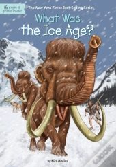 What Was The Ice Age?
