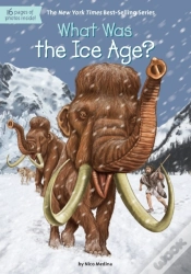 Capa do artigo What Was The Ice Age?