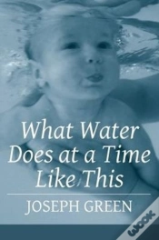 Capa do artigo What Water Does At A Time Like This