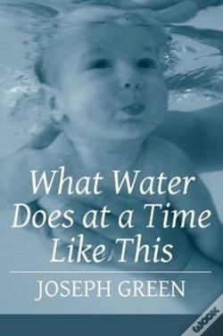 Capa do artigo What Water Does At A Time Like This