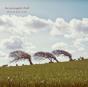 What We Have Sown - CD - Preview