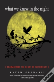Capa do artigo What We Knew In The Night