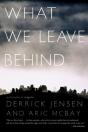 What We Leave Behind - Preview