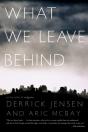 What We Leave Behind - Preview