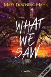 Capa do artigo What We Saw