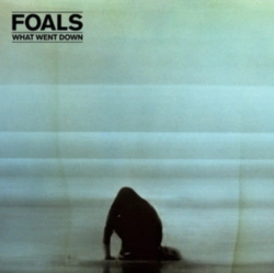 Capa do artigo What Went Down - CD